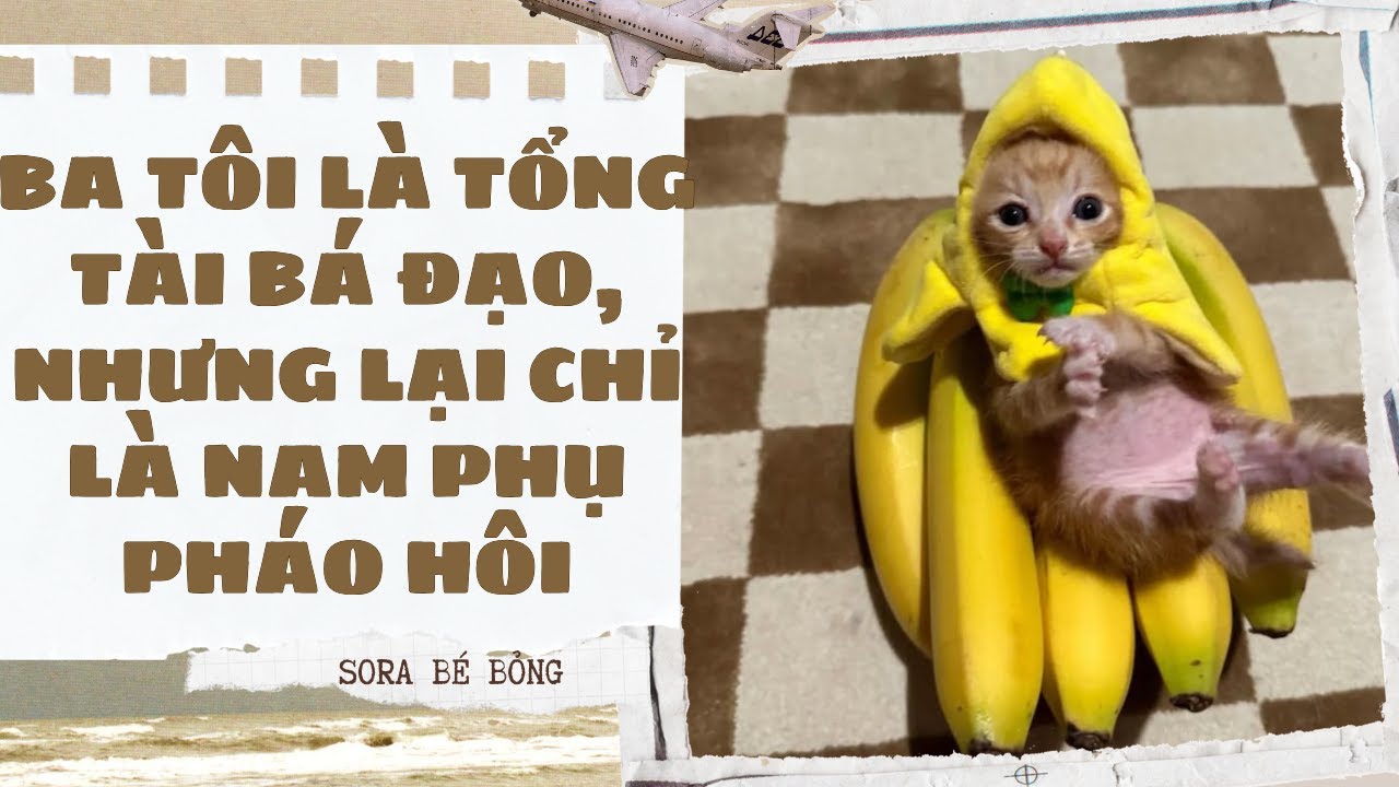 [Truyện Audio ] [FULL] BA TÔI LÀ TỔNG TÀI BÁ ĐẠO, NHƯNG LẠI CHỈ LÀ NAM PHỤ PHÁO HÔI || Sora Bé Bỏng