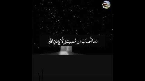 أيات من القرآن الكريم بصوت جميل.