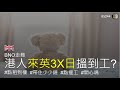 BNO走難  港人來英3X日搵到工?#點租到樓  #帶住少少錢  #點搵工  #開心嗎