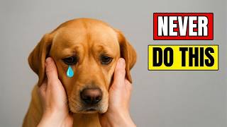 14 Things Dogs Hate – And Will NEVER Forgive You For!