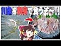 【野外】川魚を刺身で食べた~~~い!!【ゆっくり料理】【ゆっくり実況】
