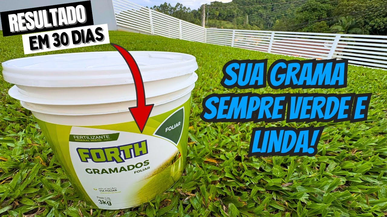 SEGREDOS DA ADUBAÇÃO: COMO MANTER O GRAMADO SEMPRE VERDE E LINDO