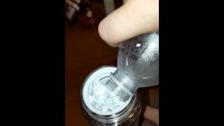 Brimma Fruit Infused Water Bottle Infuser