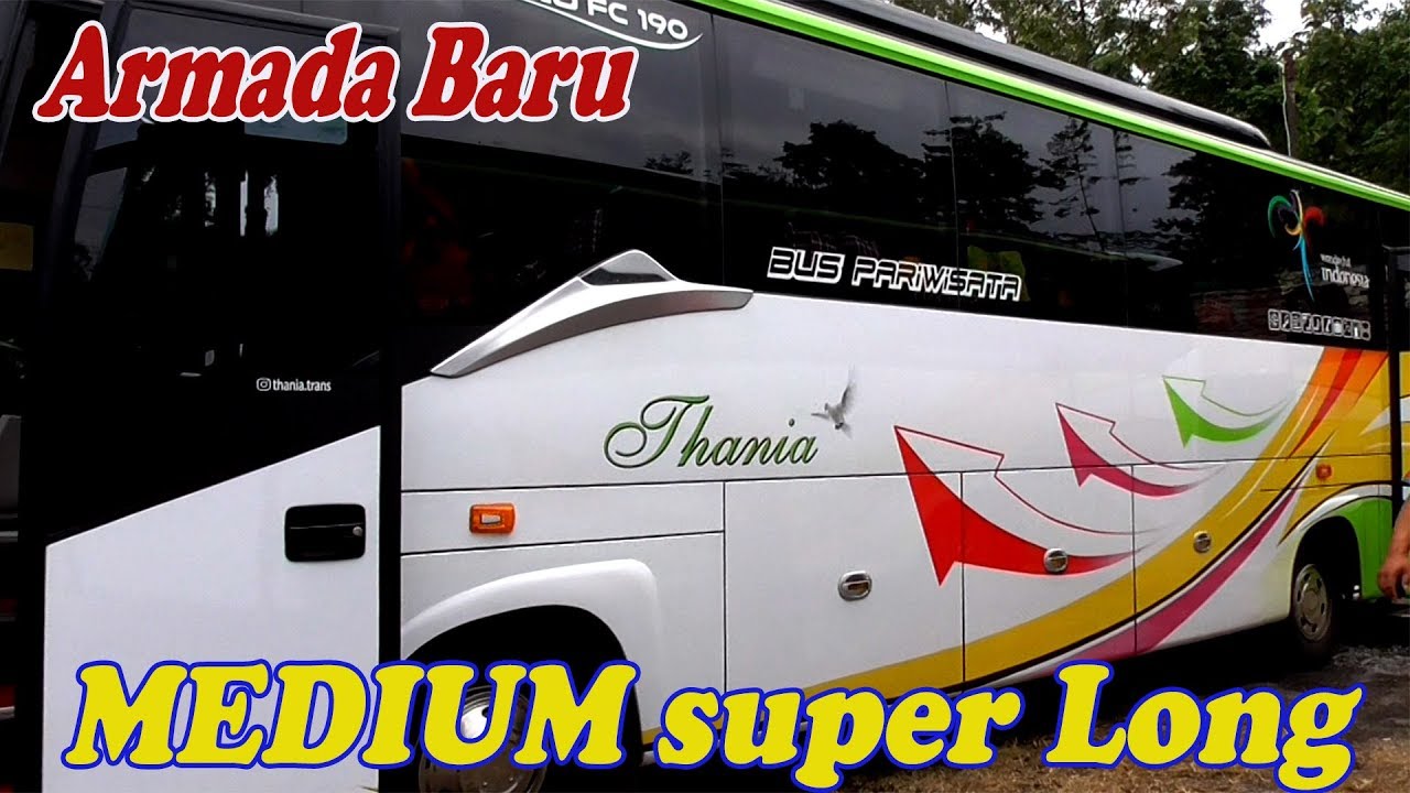 Thanis Pariwisata: Mengukir Jejak di Industri Pariwisata Indonesia Melalui Layanan Bus Berkualitas