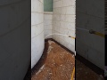 fire wall filling to protect the home against termite attack - مكافحة النمل الأبيض