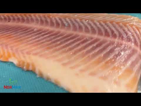 Carnitech CBF495 deepskin test thumbnail