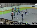 2026 All Ireland Inline Hockey Playoffs Day 3 (Sunday)