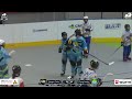 2026 All Ireland Inline Hockey Playoffs Day 3 (Sunday)