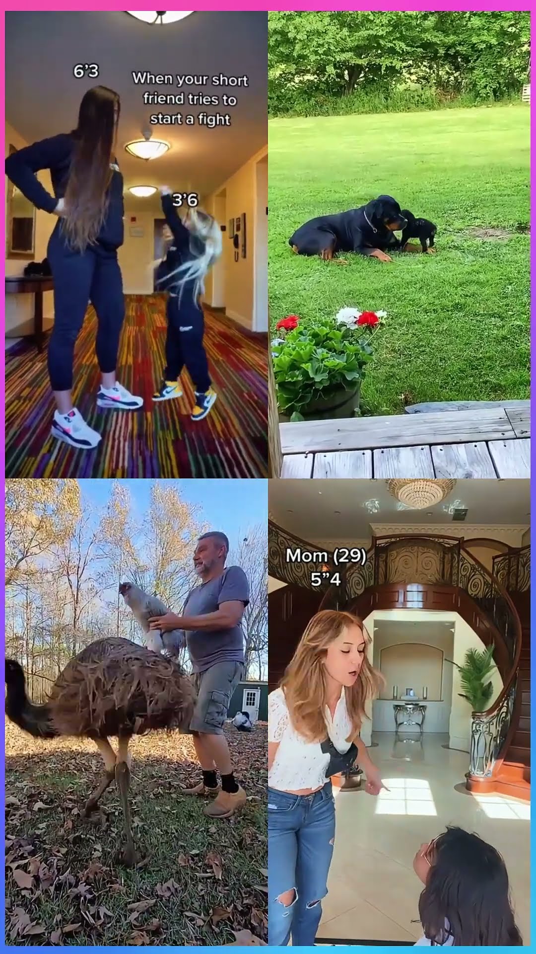 (LETS GO) 1, 10, 50 or 100 #shorts #tiktok #viral #dance #cute #funny #trend