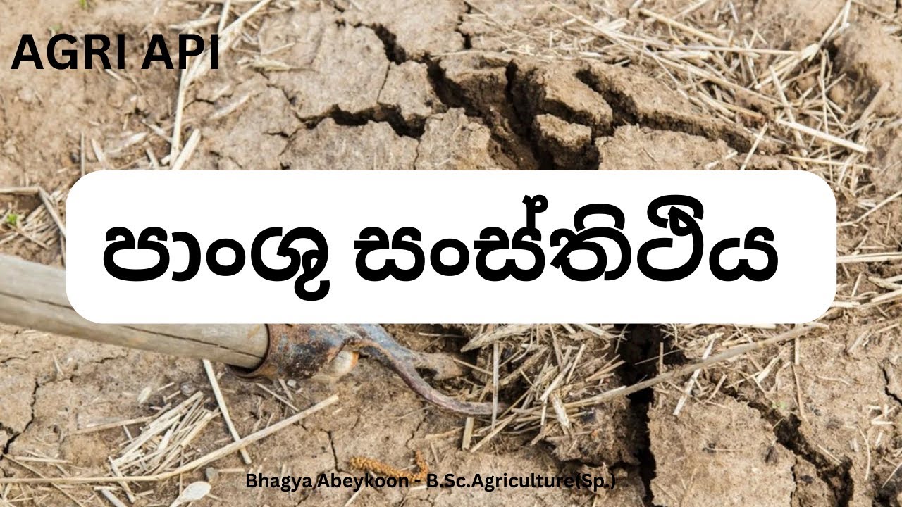 බෝග වගාවට පාංශු පරිසරයේ බලපෑම | පාංශු සංස්ථිතිය | Agri Api - YouTube