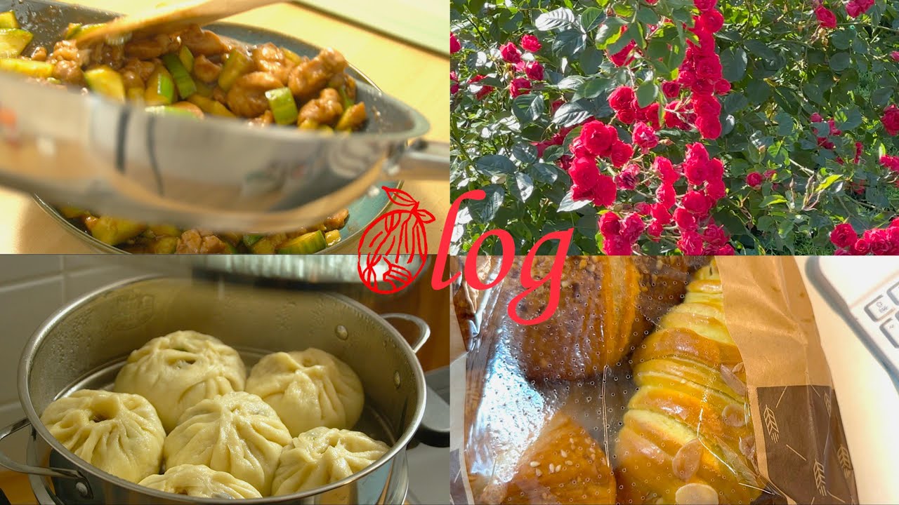 德国vlog. 错漏百出，但也是吃上了/没怎么大肆做饭的一周