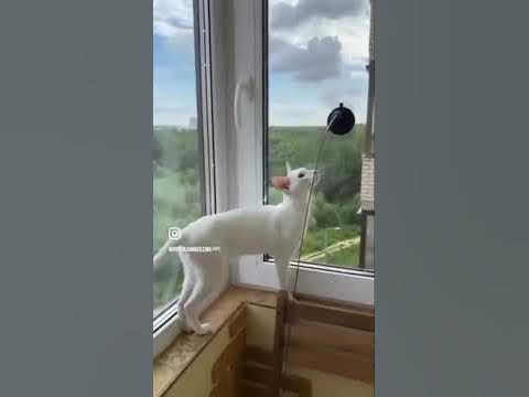 Аперолька - YouTube