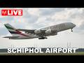 🔴LIVE: EARLY MORNING PLANE SPOTTING at Amsterdam Schiphol Airport (AMS) | May 24, 2026