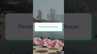 REKOMENDASI PANTAI DI BUSAN | Fun Fact | Korea Kuy! with Lia