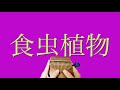 【カリンバ】食虫植物/理芽【Kalimba】