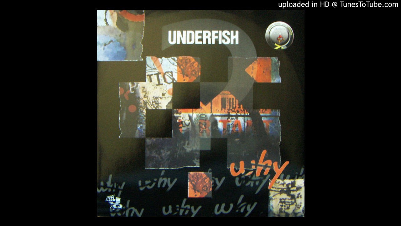 Underfish - Why