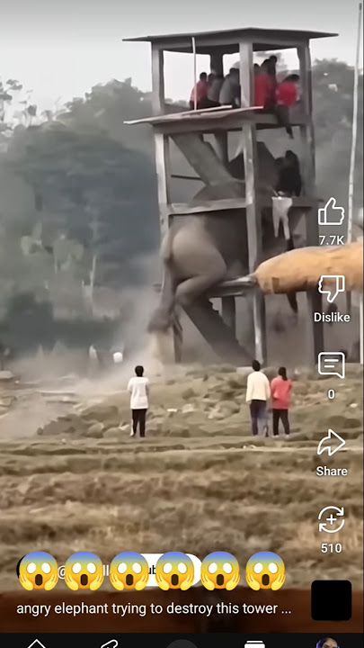 😱😱😱🐘🐘🐘🐘#Kiey kar diey 😱😱bhai 😱#youtube #viral #