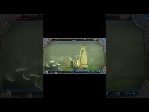 My favourite armor combos in breath of the wild