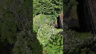 #abandoned maison pas cher dans l'Indre (Berry) au coeur de la Brenne !
