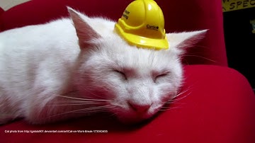 Validating Big Data Jobs—Stopping Failures Before Production on Apache Spark - Holden Karau (Google)