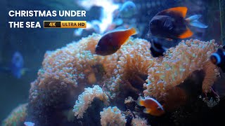 Beautiful Aquarium 4K Ultra HD With Christmas Music | OctoClean Aquarium