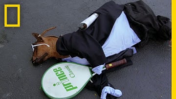 Strange Forensics | Explorer