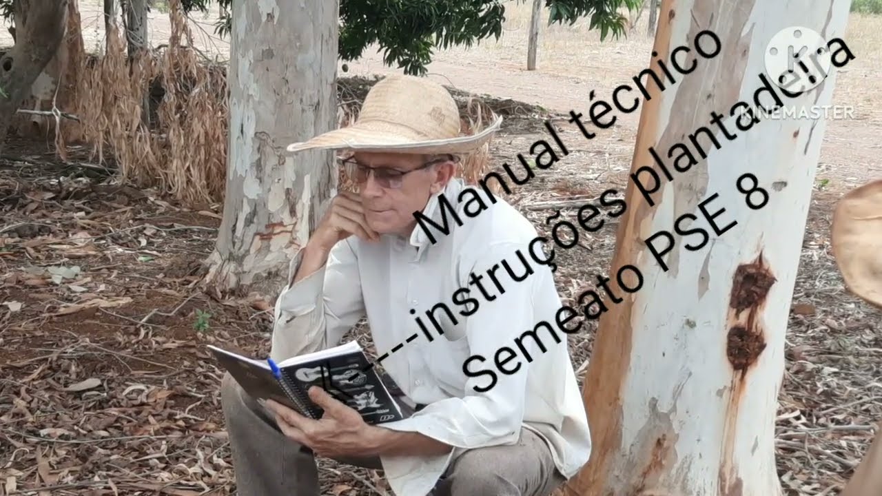 Primeiro Plantio de Soja,  2024/2025