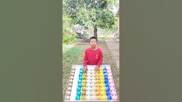 Game Challenge Sort Color Ball Puzzle#game #challenge #sortvideo #puzzle .