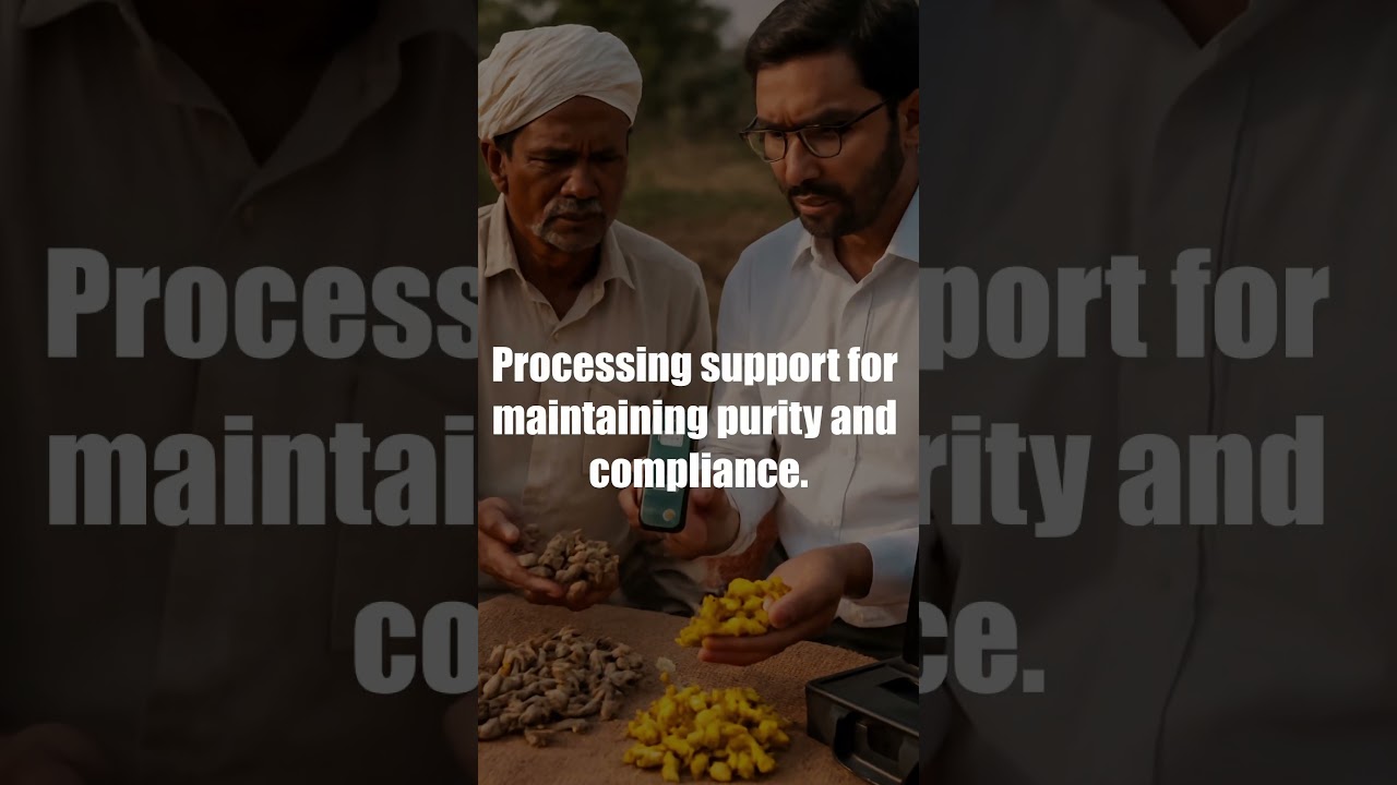 🌱 From Farm to Fork: Traceable Turmeric for Better Crops & Pure Supply 🌿✨