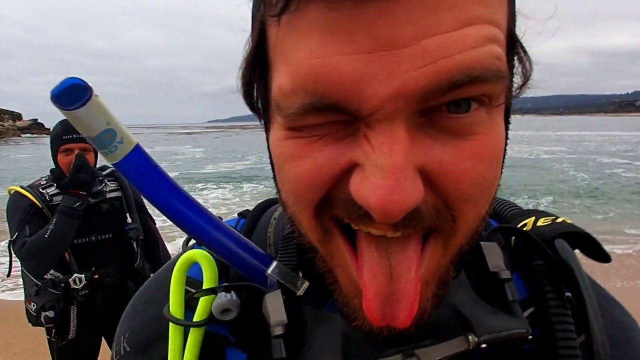 Scuba Diving in Monastery Monterey Bay California YouTube