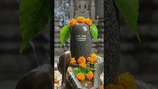 Mahadev ka gana sunega#bhakt#short videoi