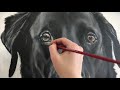 Painting a Dog's Eye: How Many Layers Does it Take?