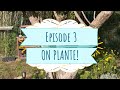 Episode 3 : On Plante! #jardin #amenagementexterieur #garden #plantation #fleurs #gardening