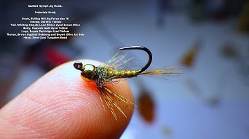 Tying a Small Quilled Bodied Jig Headed Nymph by Davie McPhail