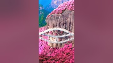 Cây cầu kính xoắn ốc cao 140m ở Trung Quốc #vegiagoc #youtubeshorts #sanvemaybaygiare #vemaybaygiare