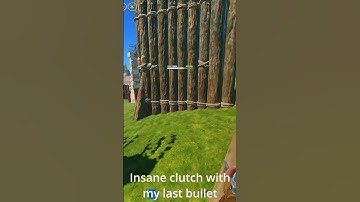 Insane clutch with last bullet