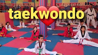 Cours de taekwondo enfants 4 à 14 (maroc)🥋💪