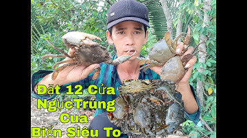 #16 | Hiếu Lãng Tử Vlog | Đặt 12 Cửa Ngục Trúng Cua Biển Siêu To