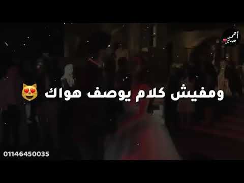 من الدنيا دي انا بتمناك حلات واتس اب