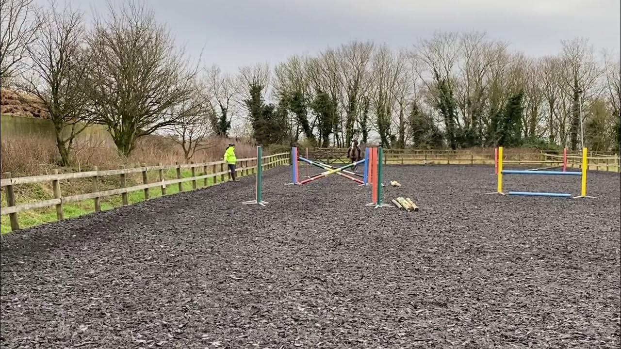 Leona Salmon & Red Show jumping lesson 21st Feb 2021 YouTube