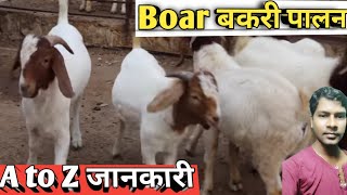 Boer goat farming in india|Boer bakari palan| Goat farming