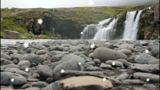 Broccoli On My Plate   The Green Orbs  Audio Music Free