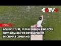 Aquaculture, Clean Energy Projects New Drivers for Development in China's Xinjiang
