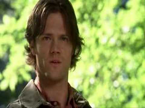 BedtimeStories - Sam/Dean - Dude could you be more gay? - YouTube