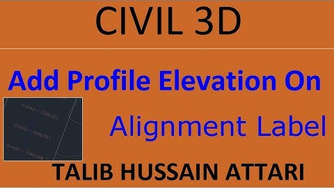 Add Station & Profile Elevation In Alignment
