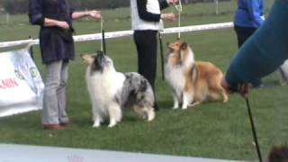 20110327011417.wmv