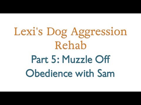 Lexi's Dog Aggression Rehab: Part 5