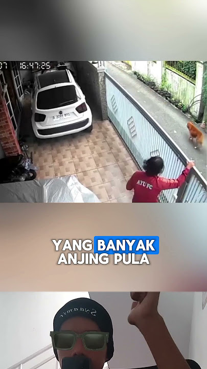 Lucu! Dikejar Anjing Masuk Rumah, Ternyata... #kocak #ngakak #viral #shorts #youtube
