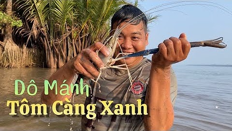 Ra sông hậu mò trúng tôm càng xanh bự về nấu bữa cơm quê | Cù Lao Dung Vlogs #407