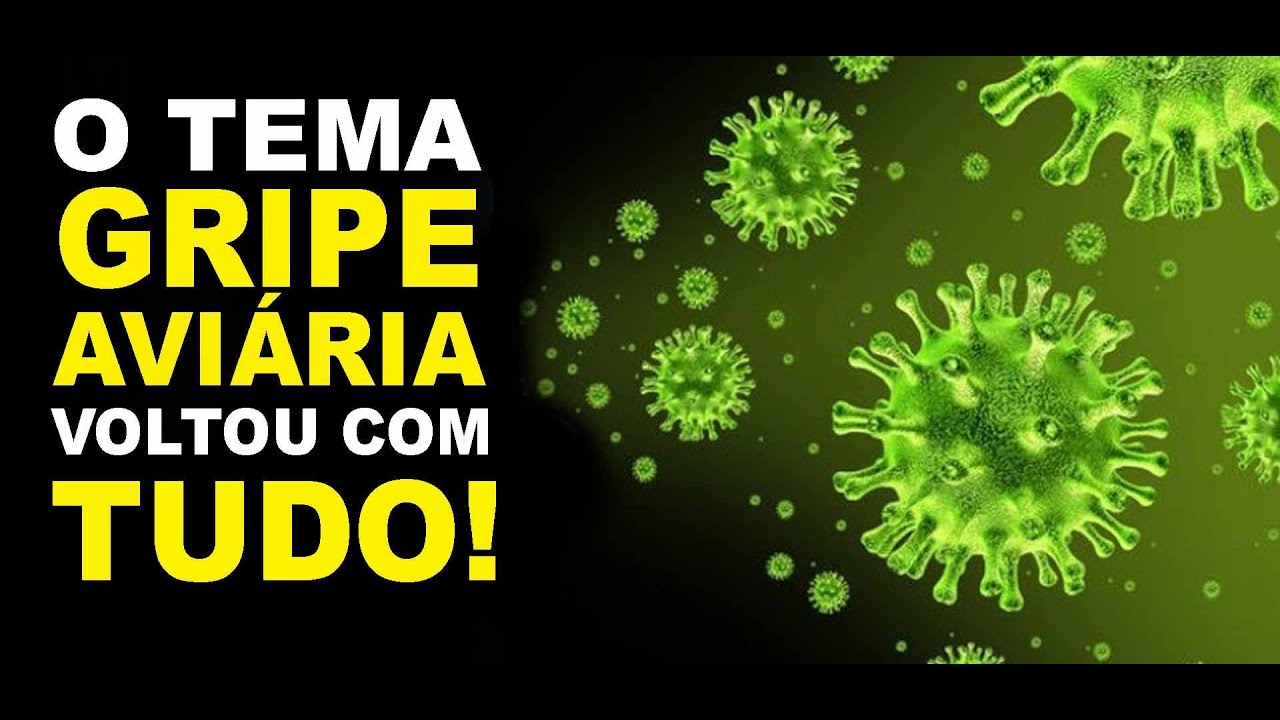 O Tema Gripe Aviária Voltou Com Tudo!